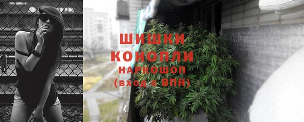 стаф Белокуриха