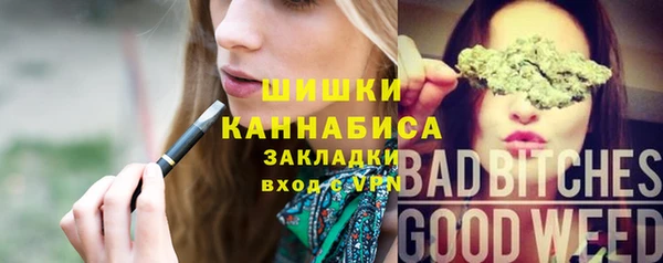 стаф Белокуриха