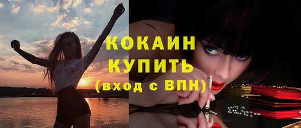 стаф Белокуриха