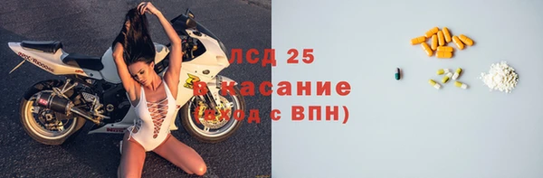 прущие грибы Белоозёрский
