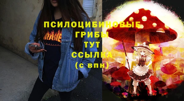 прущие грибы Белоозёрский
