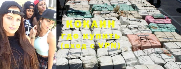 прущие грибы Белоозёрский