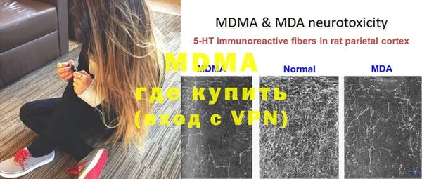 стаф Белокуриха