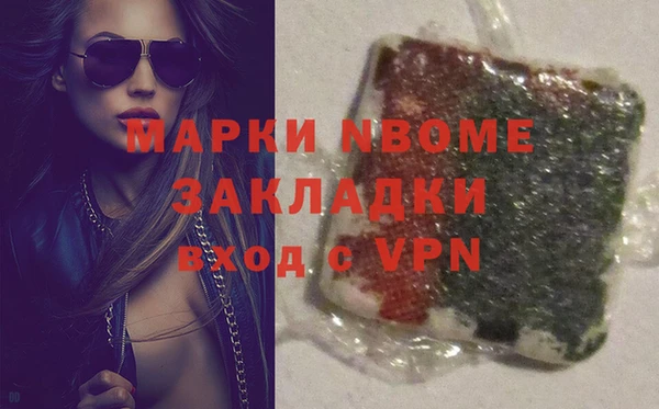 стаф Белокуриха