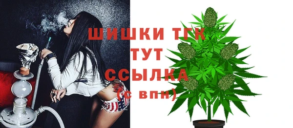 прущие грибы Белоозёрский