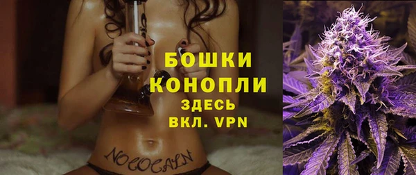 прущие грибы Белоозёрский